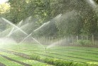 Mirroollandscaping-water-management-and-drainage-17.jpg; ?>